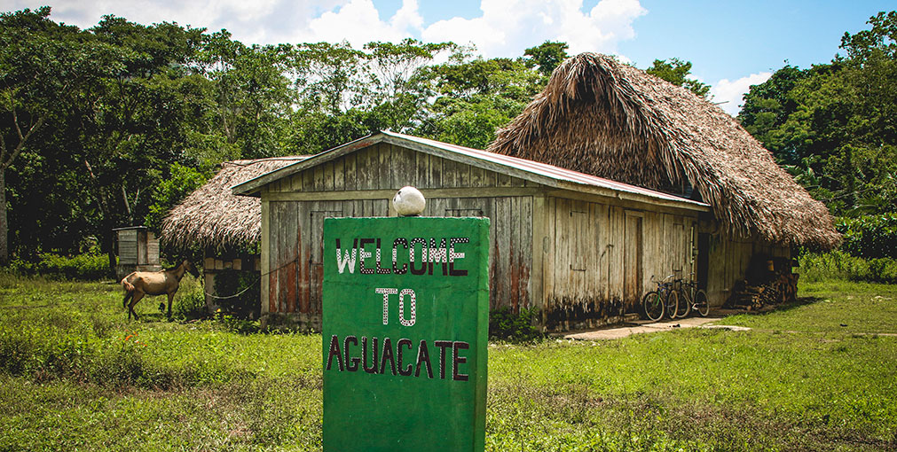 AGUACATE | BELIZE