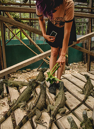 SAN IGNACIO | BELIZE