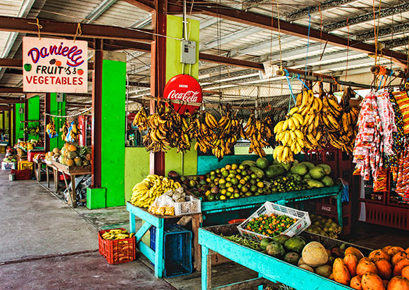 SAN IGNACIO | BELIZE