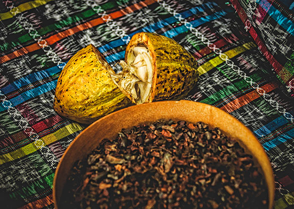 SAN IGNACIO | BELIZE