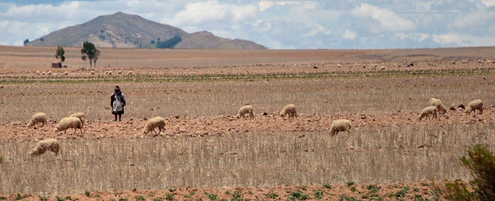 RURAL BOLIVIA | BOLIVIA
