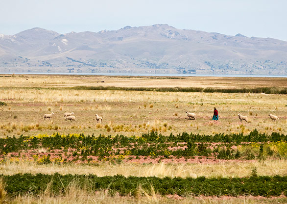 RURAL BOLIVIA | BOLIVIA