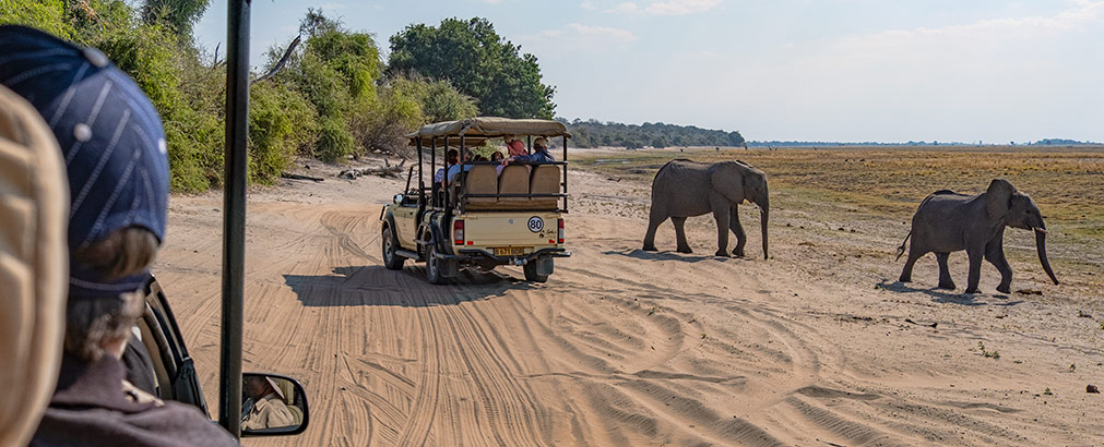 CHOBE NATIONAL PARK | BOTSWANA