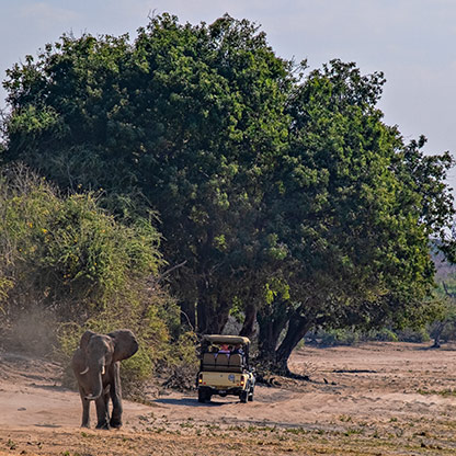 CHOBE NATIONAL PARK | BOTSWANA