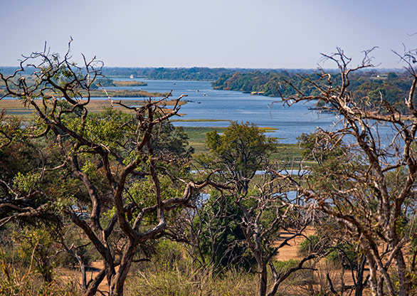 CHOBE NATIONAL PARK | BOTSWANA