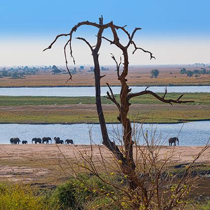 CHOBE NATIONAL PARK | BOTSWANA