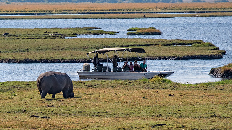 CHOBE NATIONAL PARK | BOTSWANA