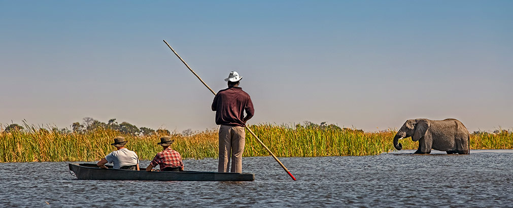 MOREMI GAME RESERVE | BOTSWANA