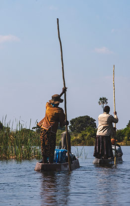 MOREMI GAME RESERVE | BOTSWANA