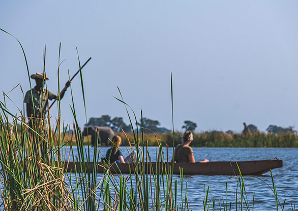 MOREMI GAME RESERVE | BOTSWANA