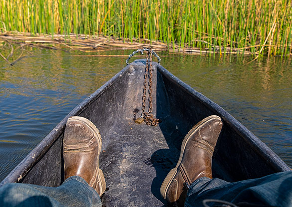 MOREMI GAME RESERVE | BOTSWANA