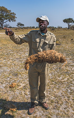MOREMI GAME RESERVE | BOTSWANA