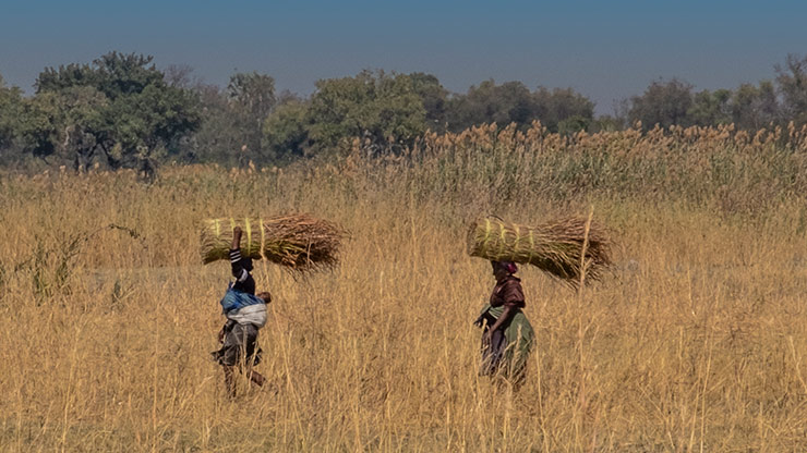 MOREMI GAME RESERVE | BOTSWANA