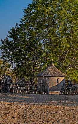 MOREMI GAME RESERVE | BOTSWANA