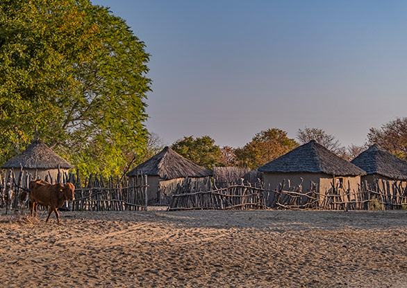 MOREMI GAME RESERVE | BOTSWANA
