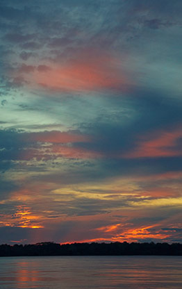 THE AMAZON RIVER | BRAZIL