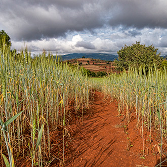 BURMA HIKING | MYANMAR