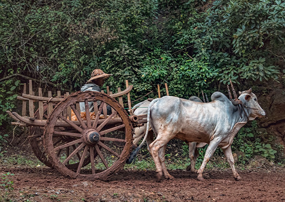 BURMA HIKING | MYANMAR