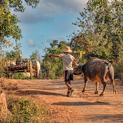 BURMA HIKING | MYANMAR