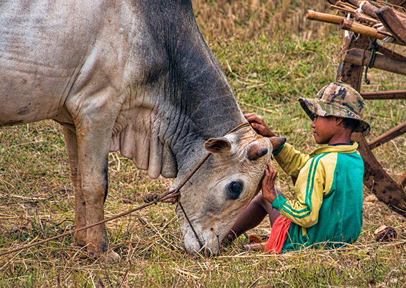 BURMA HIKING | MYANMAR