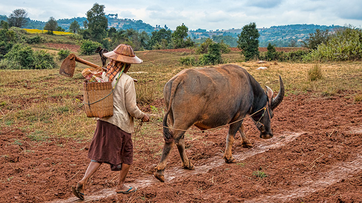 BURMA HIKING | MYANMAR
