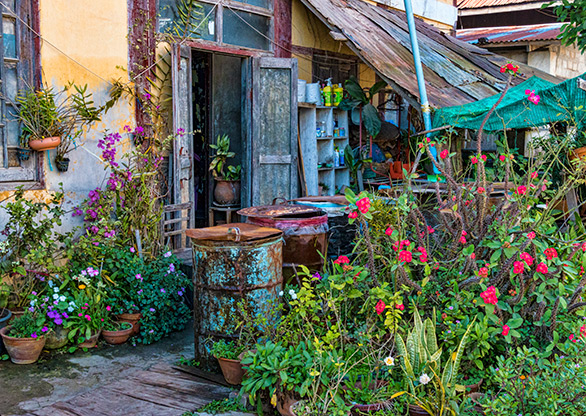 BURMA KALAW | MYANMAR