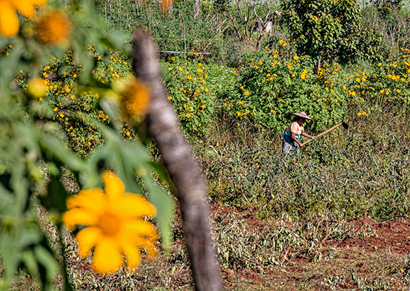 BURMA KONE HLA VILLAGE | MYANMAR
