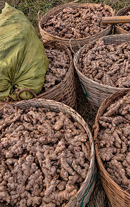 BURMA LEMIND VILLAGE | MYANMAR