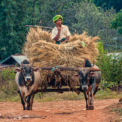 BURMA LEMIND VILLAGE | MYANMAR