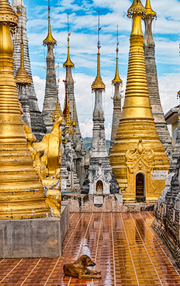 BURMA PAGODA FOREST | MYANMAR