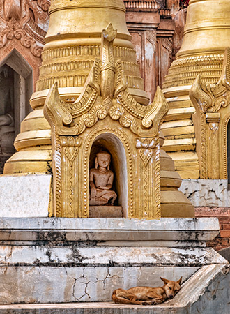 BURMA PAGODA FOREST | MYANMAR