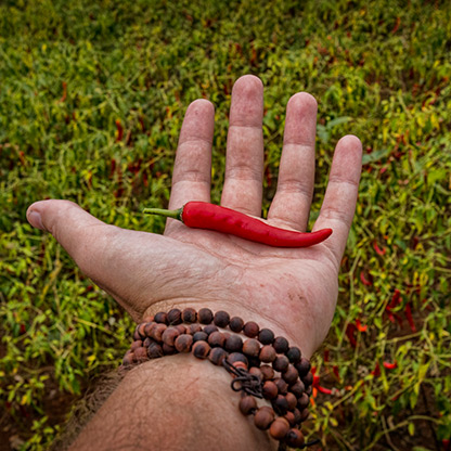 BURMA POWKE VILLAGE | MYANMAR