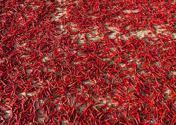 BURMA POWKE VILLAGE | MYANMAR