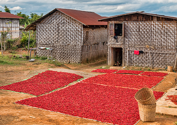 BURMA POWKE VILLAGE | MYANMAR