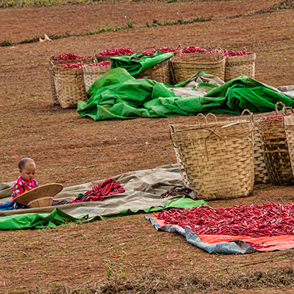 BURMA POWKE VILLAGE | MYANMAR