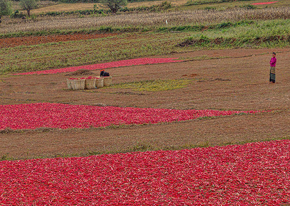 BURMA POWKE VILLAGE | MYANMAR
