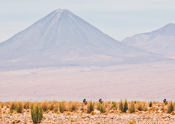 CHILE ATACAMA DESERT | CHILE