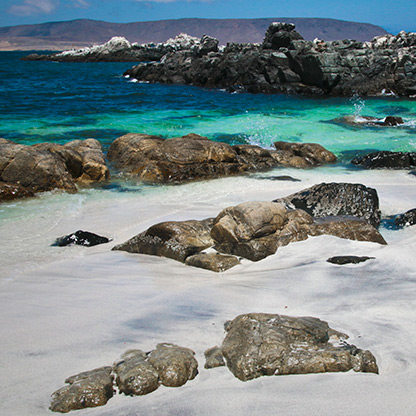 CHILE BAHIA INGLESA | CHILE