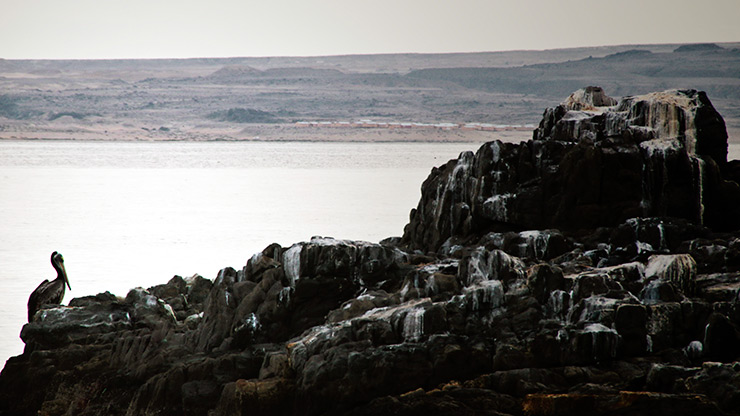 CHILE BAHIA INGLESA | CHILE