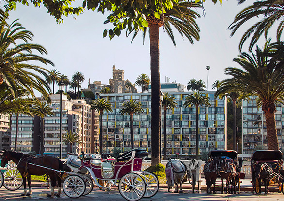 CHILE VINA DEL MAR | CHILE