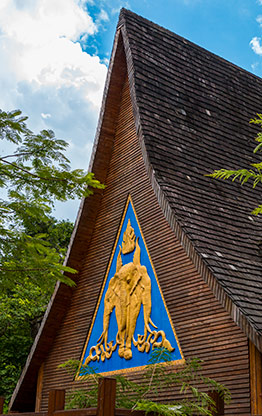 ELEPHANT VALLEY | CHINA