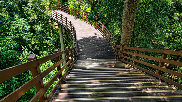 ELEPHANT VALLEY | CHINA
