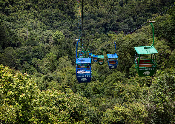 ELEPHANT VALLEY | CHINA