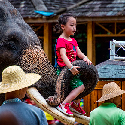 ELEPHANT VALLEY | CHINA