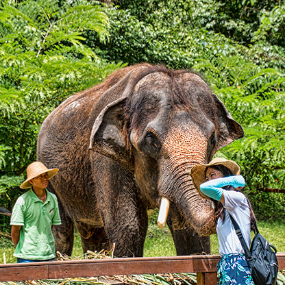 ELEPHANT VALLEY | CHINA