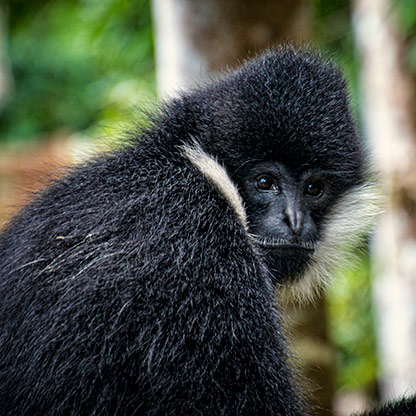 ELEPHANT VALLEY | CHINA
