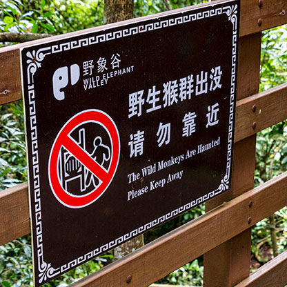 ELEPHANT VALLEY | CHINA