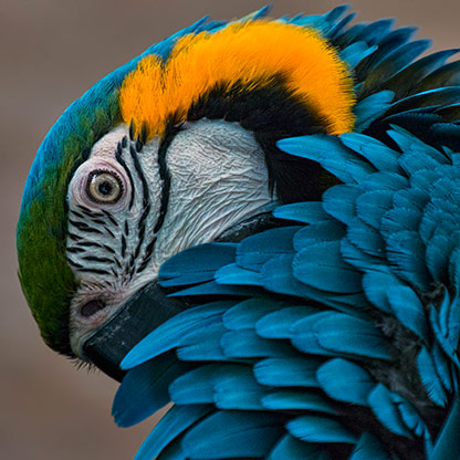 ELEPHANT VALLEY | CHINA