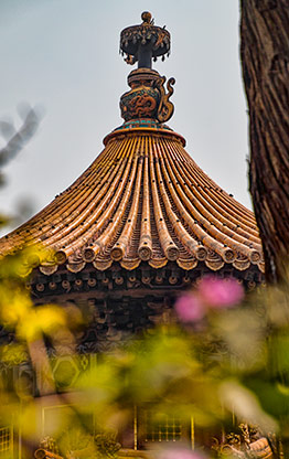 FORBIDDEN CITY | CHINA