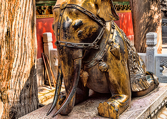 FORBIDDEN CITY | CHINA